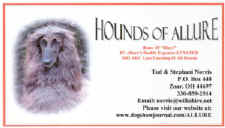 card1.jpg (18464 bytes)